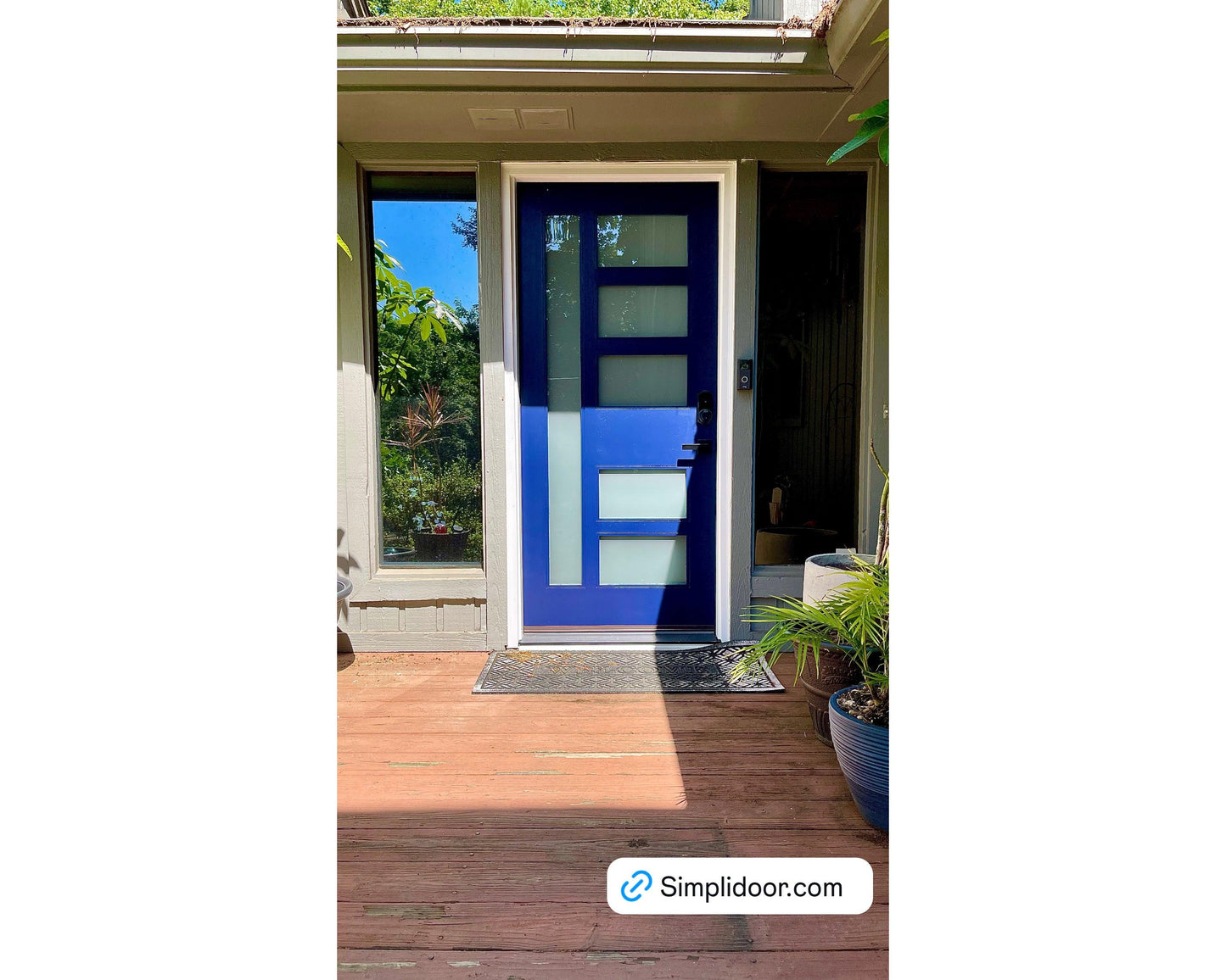 Division Modern Mahogany Exterior Door with Frosted Glass