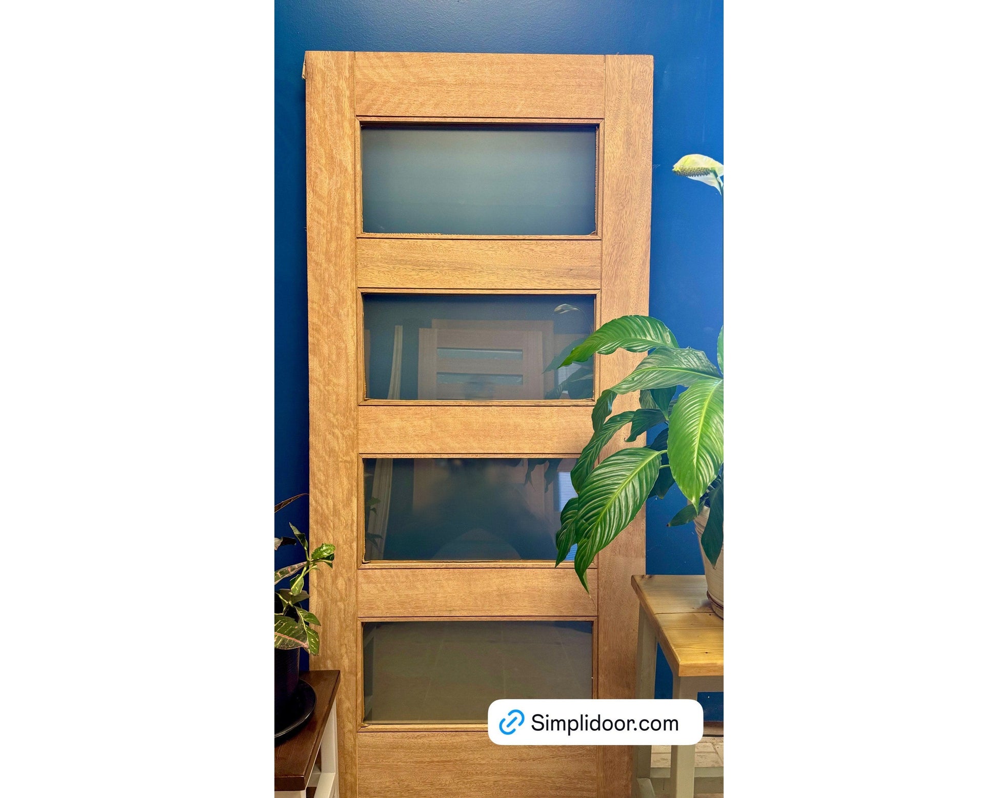 Modern Exterior Door with Frosted Glass