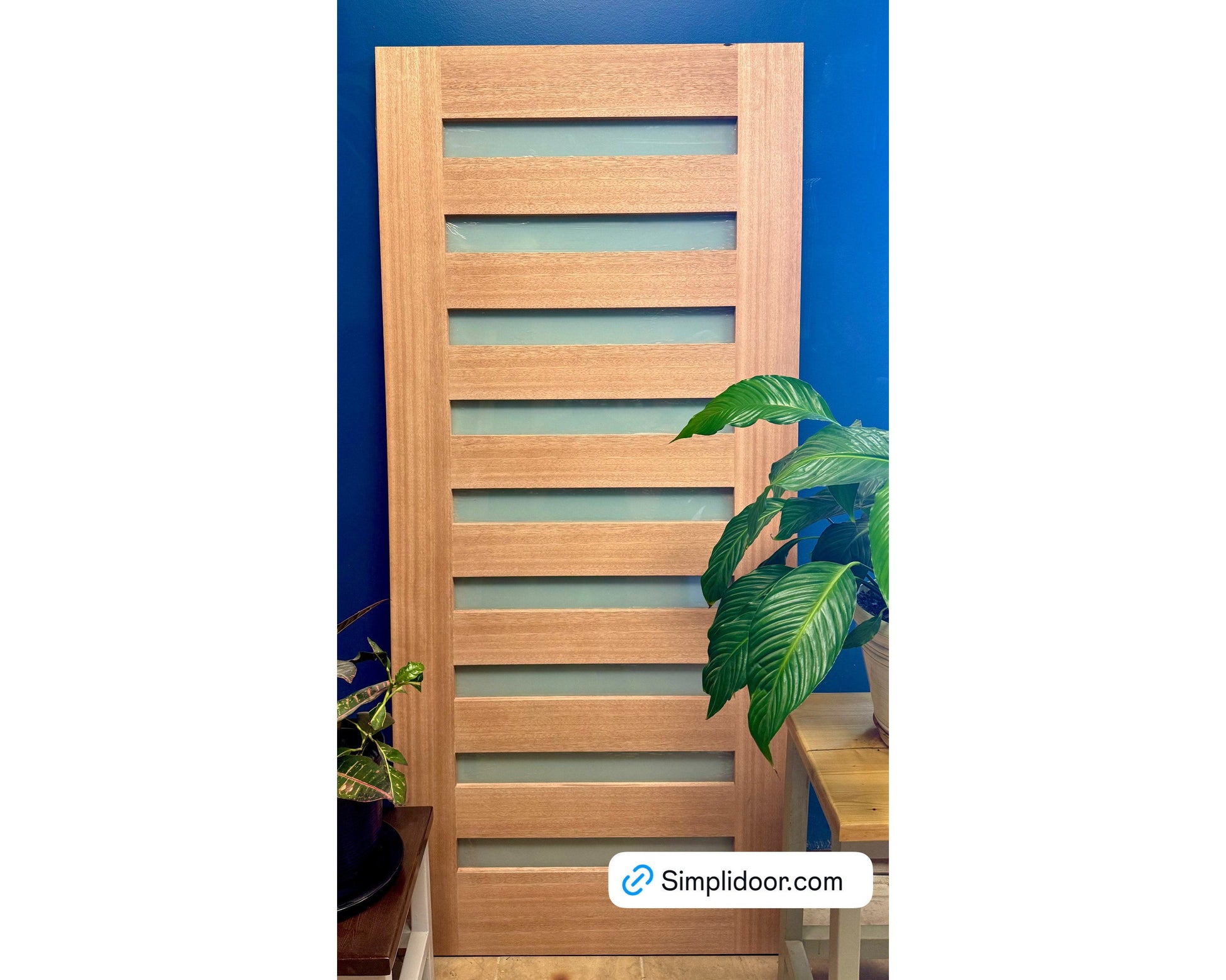 9 Lite Modern Mahogany Exterior Door with Frosted Glass